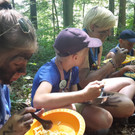 20150716_134730.jpg