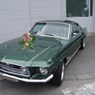 DSC01563.JPG