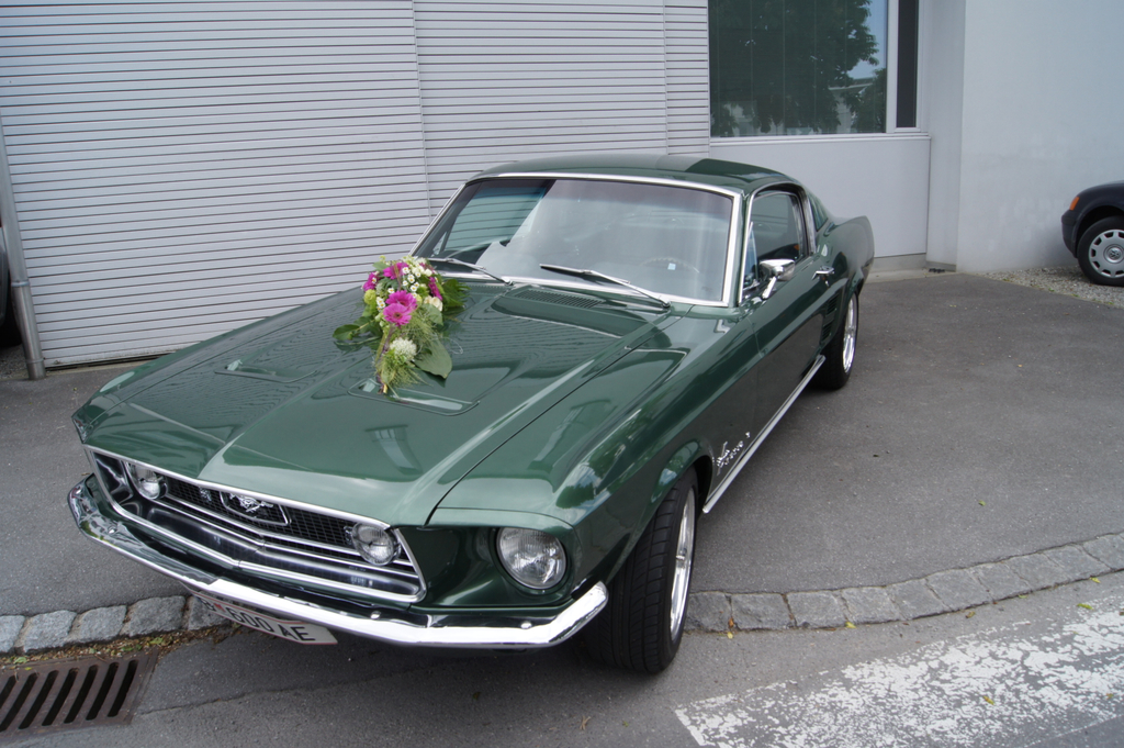 DSC01563.JPG