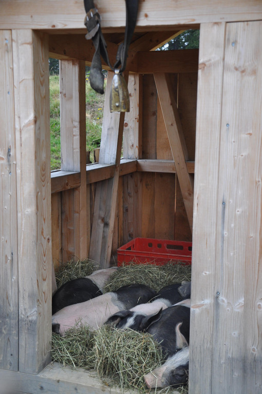DSC_0074.JPG