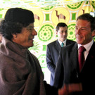 DAB1260-20110301.jpg