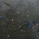 bodensee04.jpg