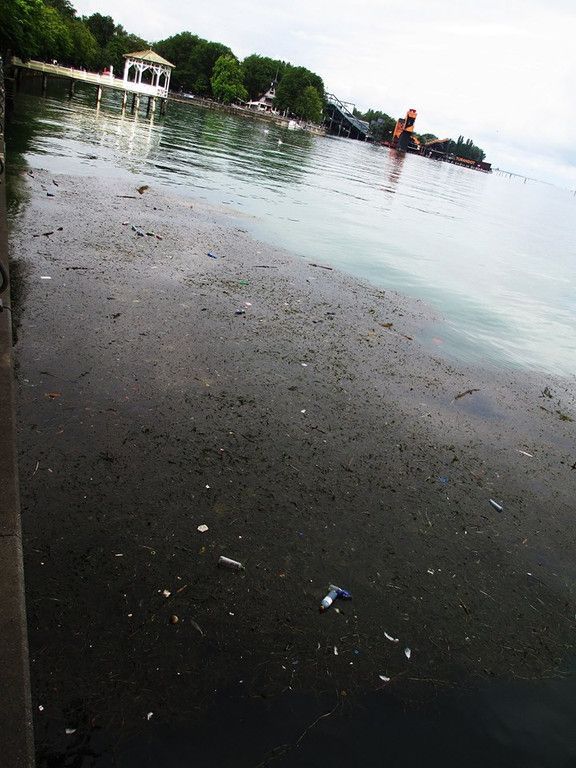 bodensee05.jpg