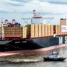 IBD0735-20150801.jpg