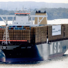 IBD0733-20150801.jpg