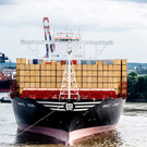 IBD0731-20150801.jpg