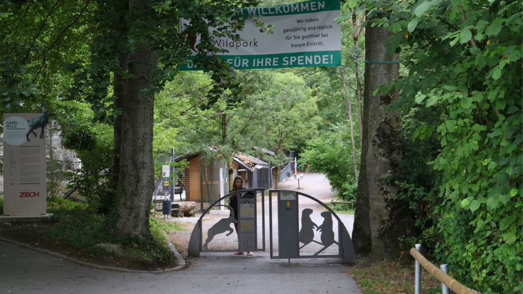 KOE_Wildpark Tierpaten Wildkatze 1.jpg