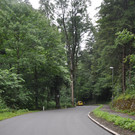 DSC_0024.JPG