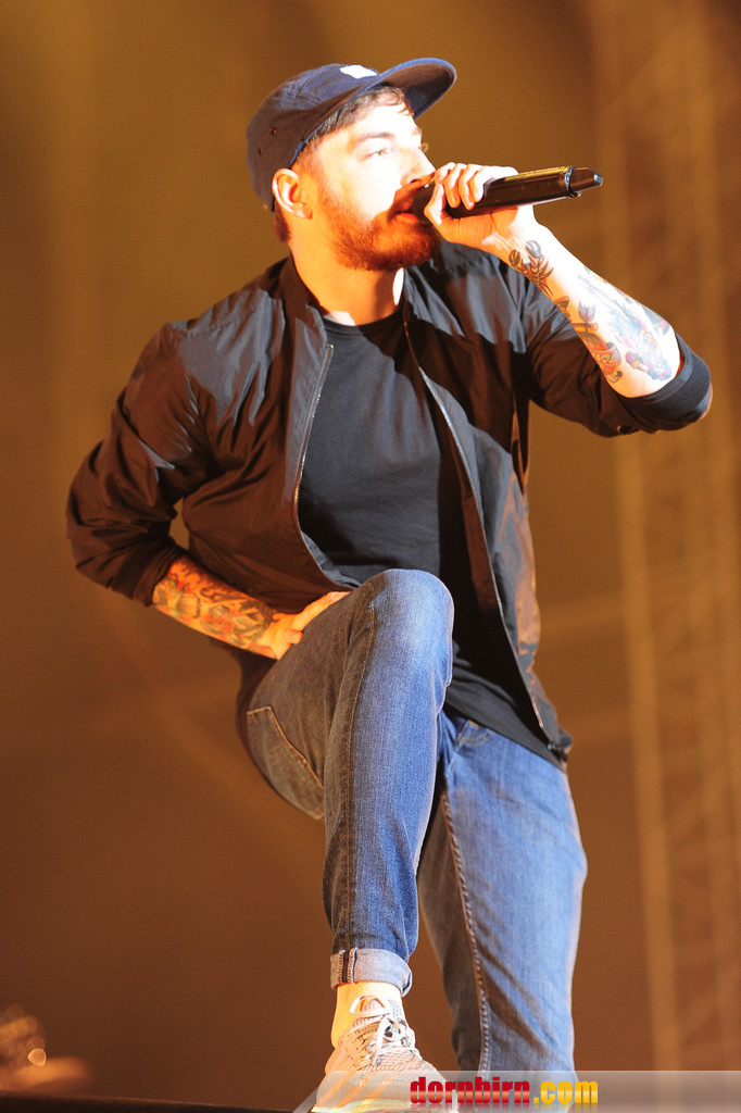 14091383.jpg