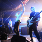 14091291.jpg