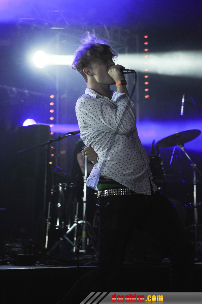 14091277.jpg