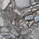 Trichter des Ameisenl__wen DSCN1806.JPG