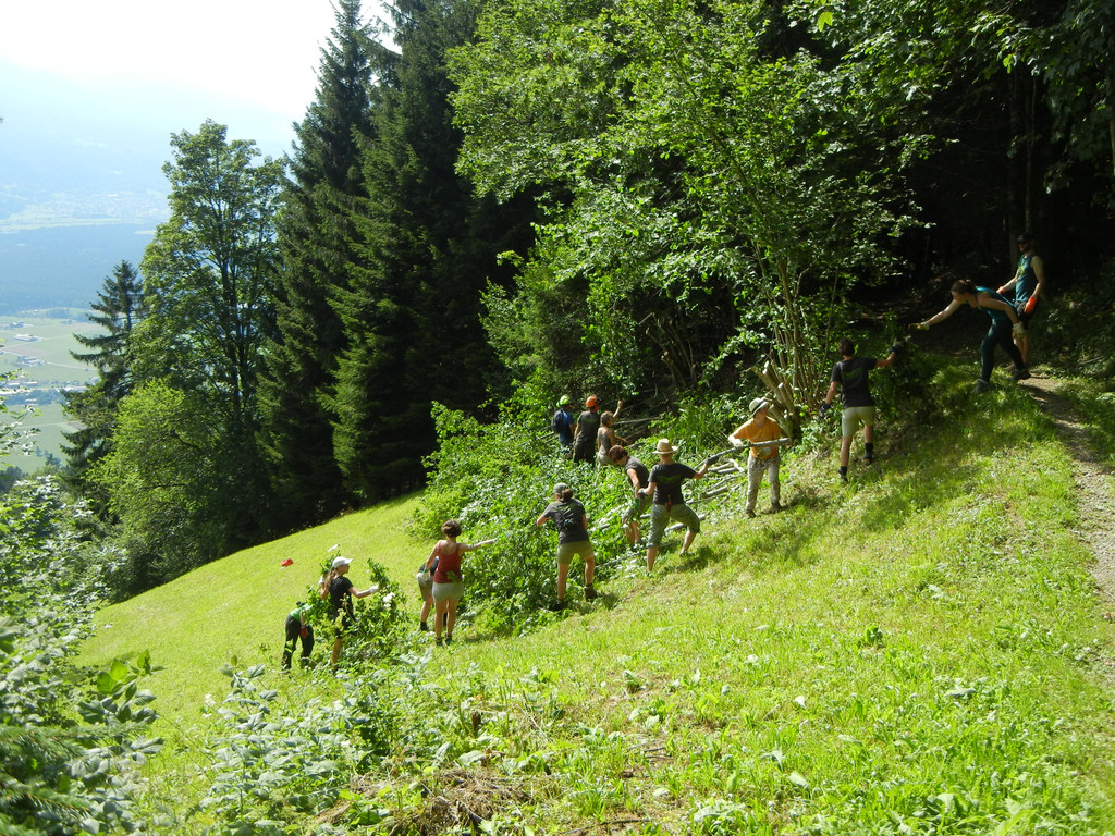 Die Gruppe beim Hecken stutzen DSCN4400.JPG