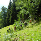 Die Gruppe beim Hecken stutzen DSCN4400.JPG