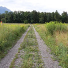 Vielfalter im Naturschutzeinsatz in Bangs