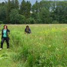 Goldruten Pflege-Einsatz DSCN1802.JPG