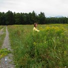 Goldruten Pflege-Einsatz.JPG