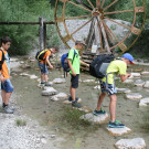 IMG_9706.JPG