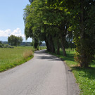 DSC_0018.JPG