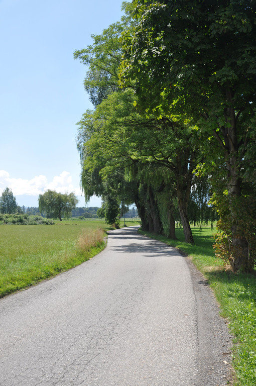 DSC_0020.JPG