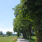 DSC_0020.JPG