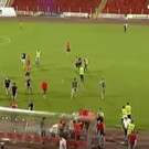 1bzska-fans2aaaa1.JPG