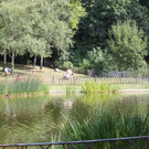 Wien im Sommer (Parks)