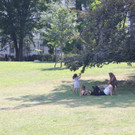 IMG_0871.JPG