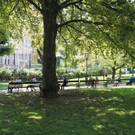IMG_0872.JPG