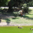 IMG_0885.JPG