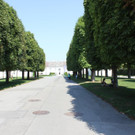 IMG_0900.JPG