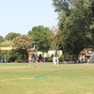 IMG_0912.JPG