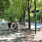 IMG_0915.JPG