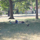 IMG_0921.JPG