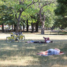 IMG_0922.JPG