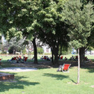 IMG_0926.JPG