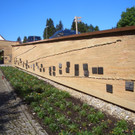 CIMG3227.JPG