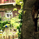 garten-tv_01.jpg