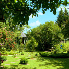 garten-tv_11.jpg