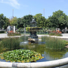 IMG_0953.JPG