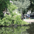 IMG_0961.JPG