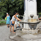 IMG_0963.JPG