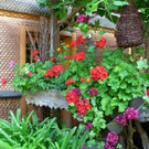 DSCN1848.JPG