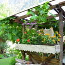 DSCN1849.JPG