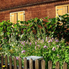 DSCN1854.JPG