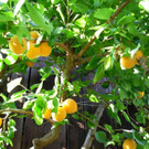 DSCN1855.JPG