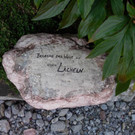 DSCN1858.JPG