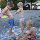 IMG_3005 _1_.jpg