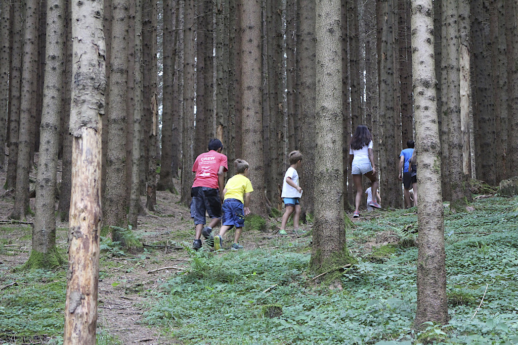 IMG_2857.jpg