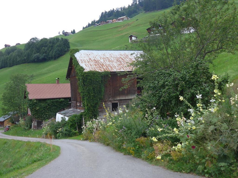ogv20150809033444.jpg